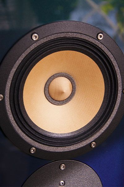 Mid range paper cone speaker tranducter.