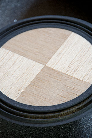 Balsa wood flat diffuser of low range speaker driver.