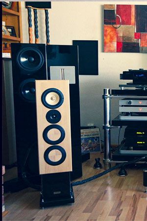 The best speaker system for Rock. 3-way, floorstanding Contrast audi Soul.