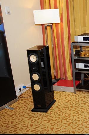 Contrast audio home speaker systems and  Viva Audio tube amplifier.