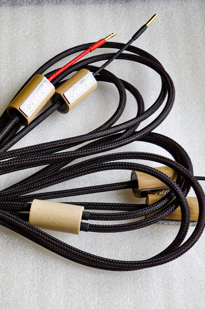 Speaker systems audio cable.