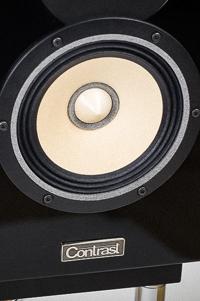 Contrast Monitor. Bookshelf 2-way audiophile crossover-less speaker system.