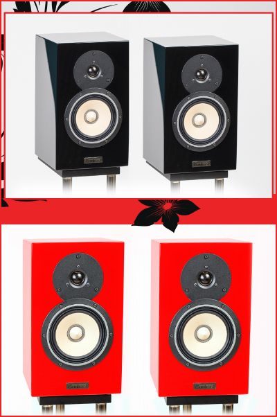 Contrast Monitor. Bookshelf 2-way audiophile crossover-less speaker system.