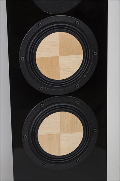 Contrast Black Moon. 3-way floorstanding audiophile speaker system.